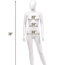5 Foot 8 Inch Female Mannequin 