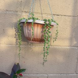 Beads I Guess
