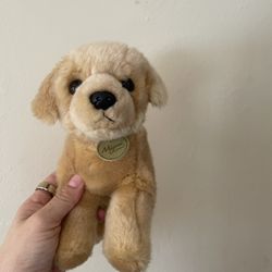Dog Plushie