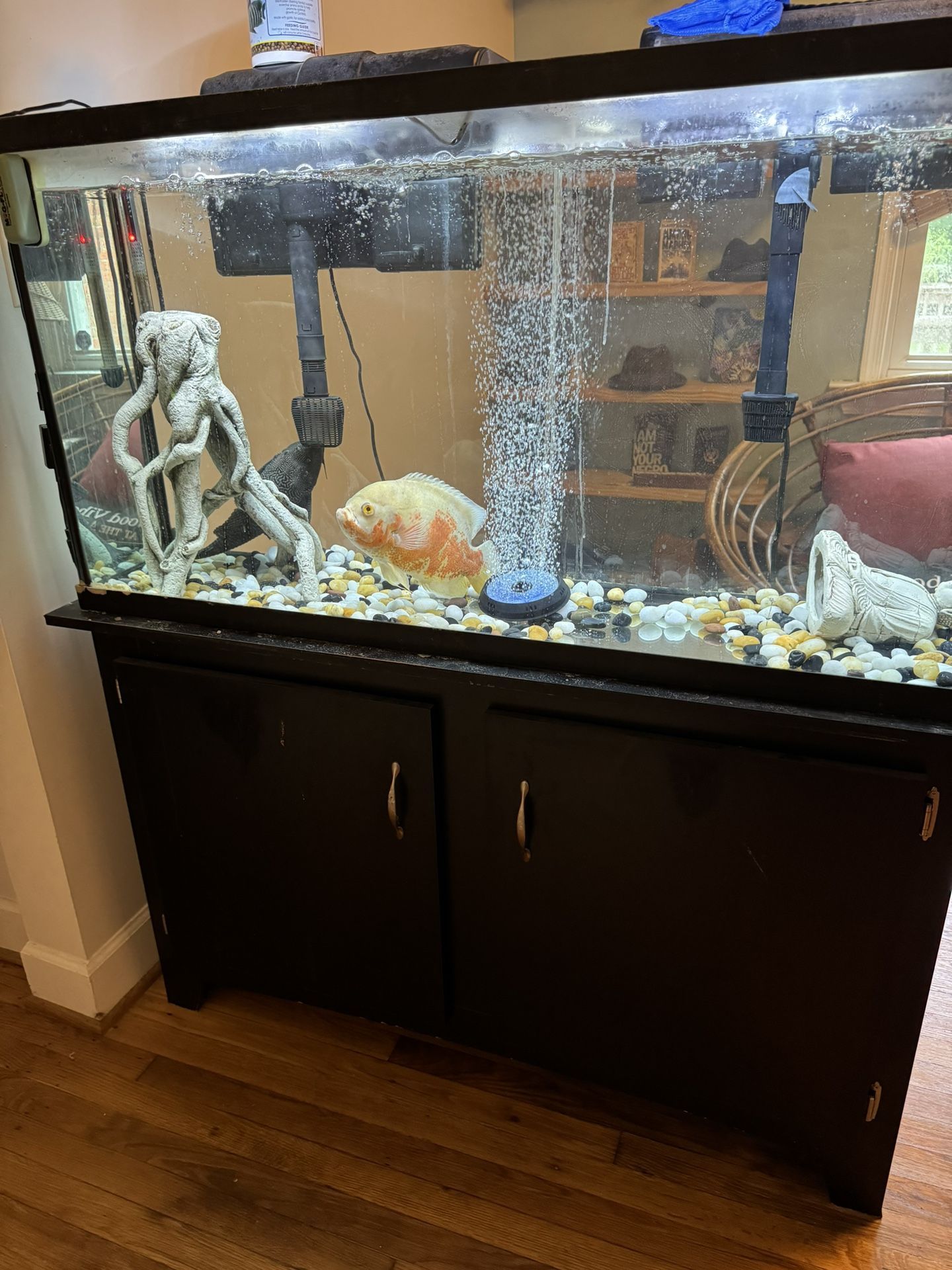 🐠🐟 Fish Tank, Tank Cabinet/Shelf, Rocks And More