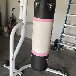 Punching Bag And Stand