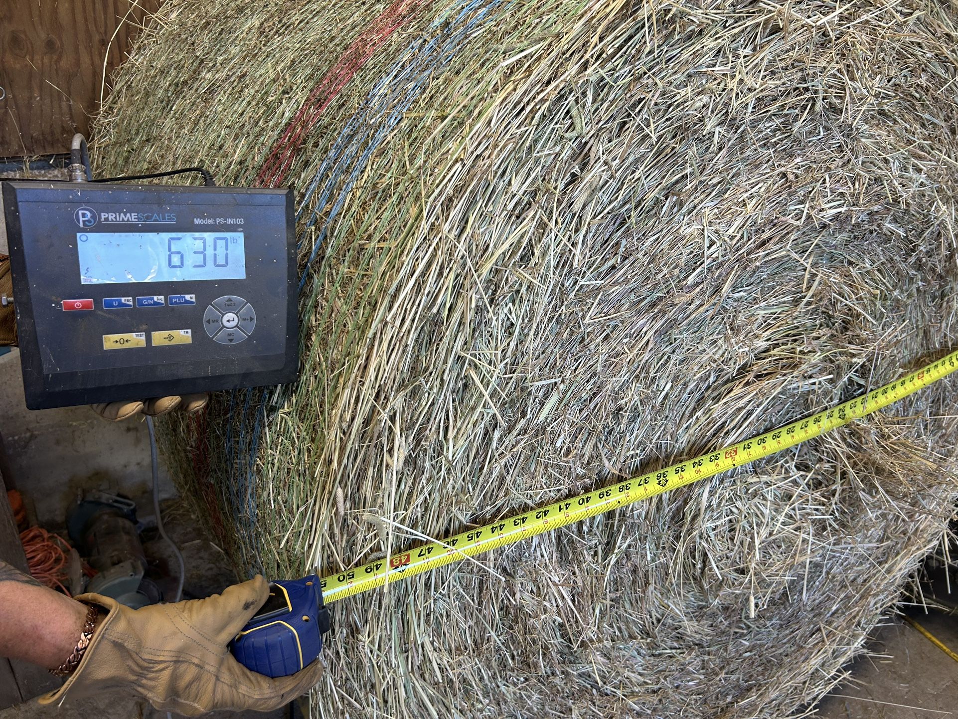 Hay