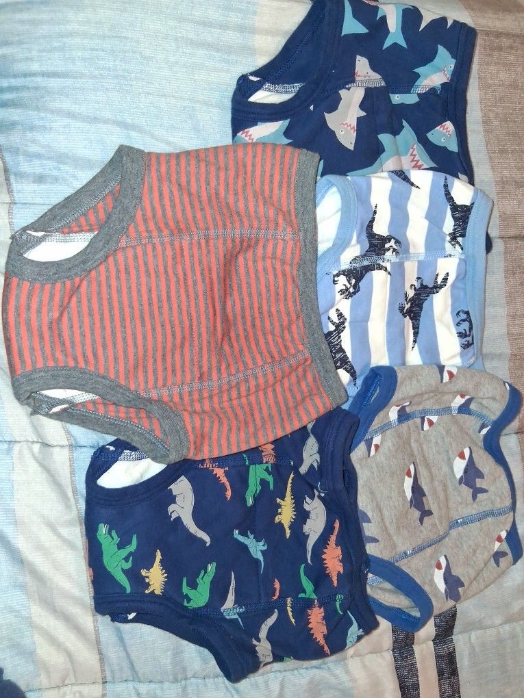 5 Trainee Underwear For Boys 5T