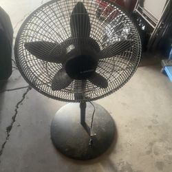 Powerful House Fan
