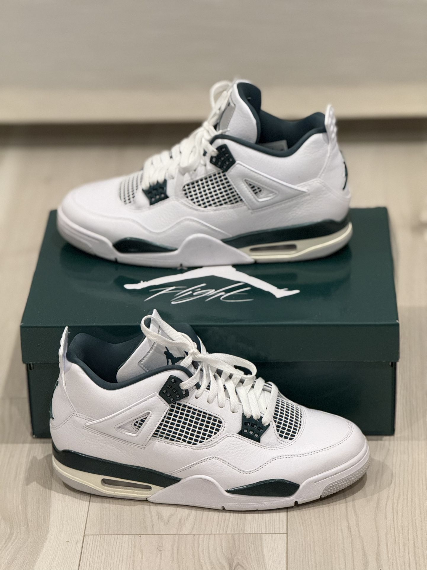 Air Jordan 4 “Oxidized Green” – Size 11.5 Used w/ Box