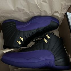Brand New Jordan Retro 12
