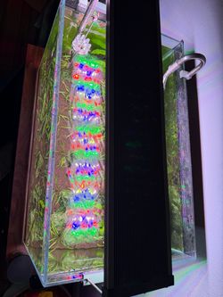 UNS fish tank. Full set up