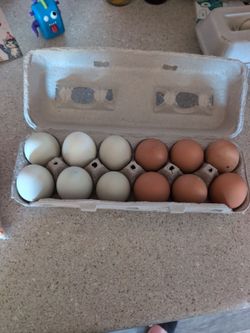 Brown and Green farm fresh eggs