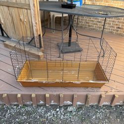 Bunny Cage 