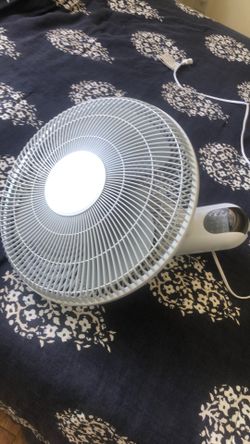 Fan
