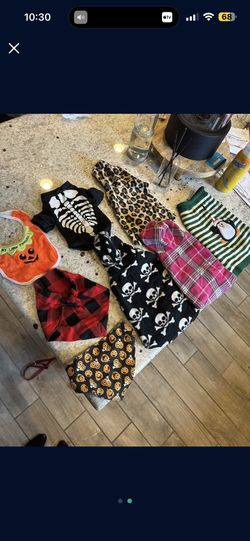 Assorted Lot Of Small Dog Clothes 