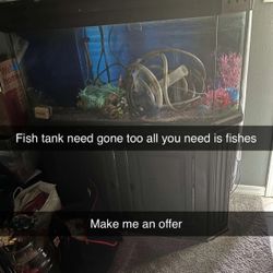 Fish Tank 