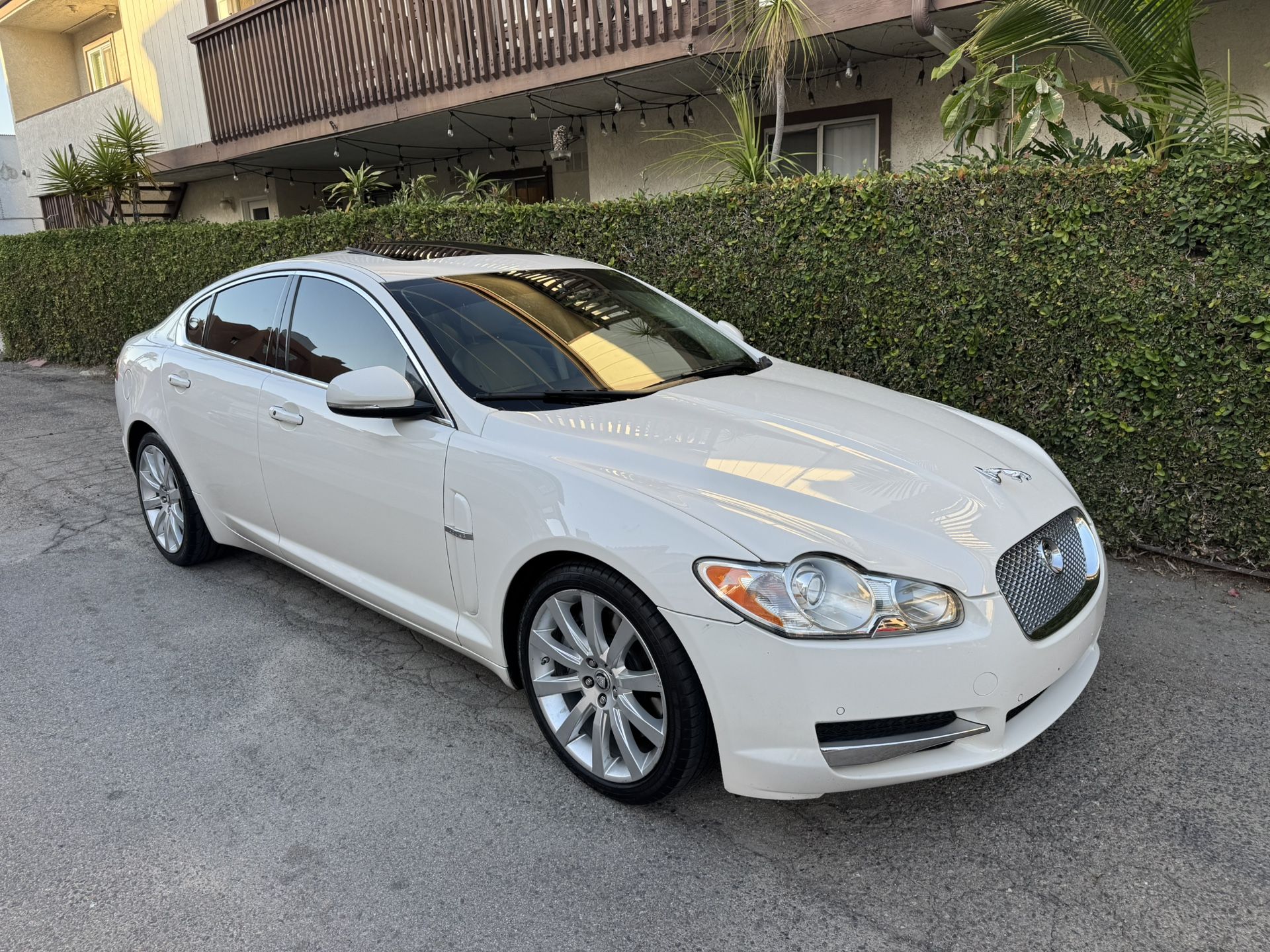 BEAUTIFUL LUXURY JAGUAR 5.0 V8 LOW MILES