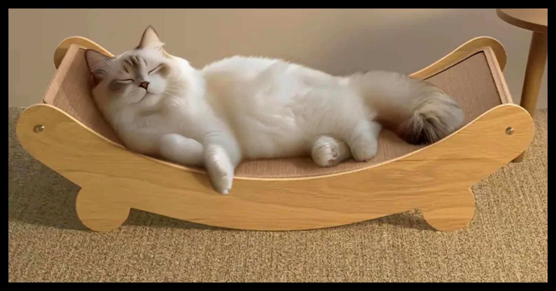 New Cat Hammock/ Scratching Post