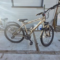 Two Bikes Need Work
