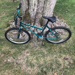 26” Mountain Bike 