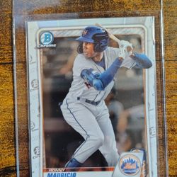 RONNY MAURICIO PROSPECT BASEBALL CARD COLLECTION!!
