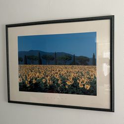 Wall decor Sunflower Print 20.00