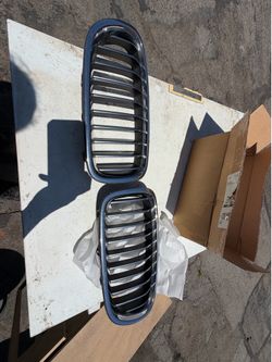 BMW grill