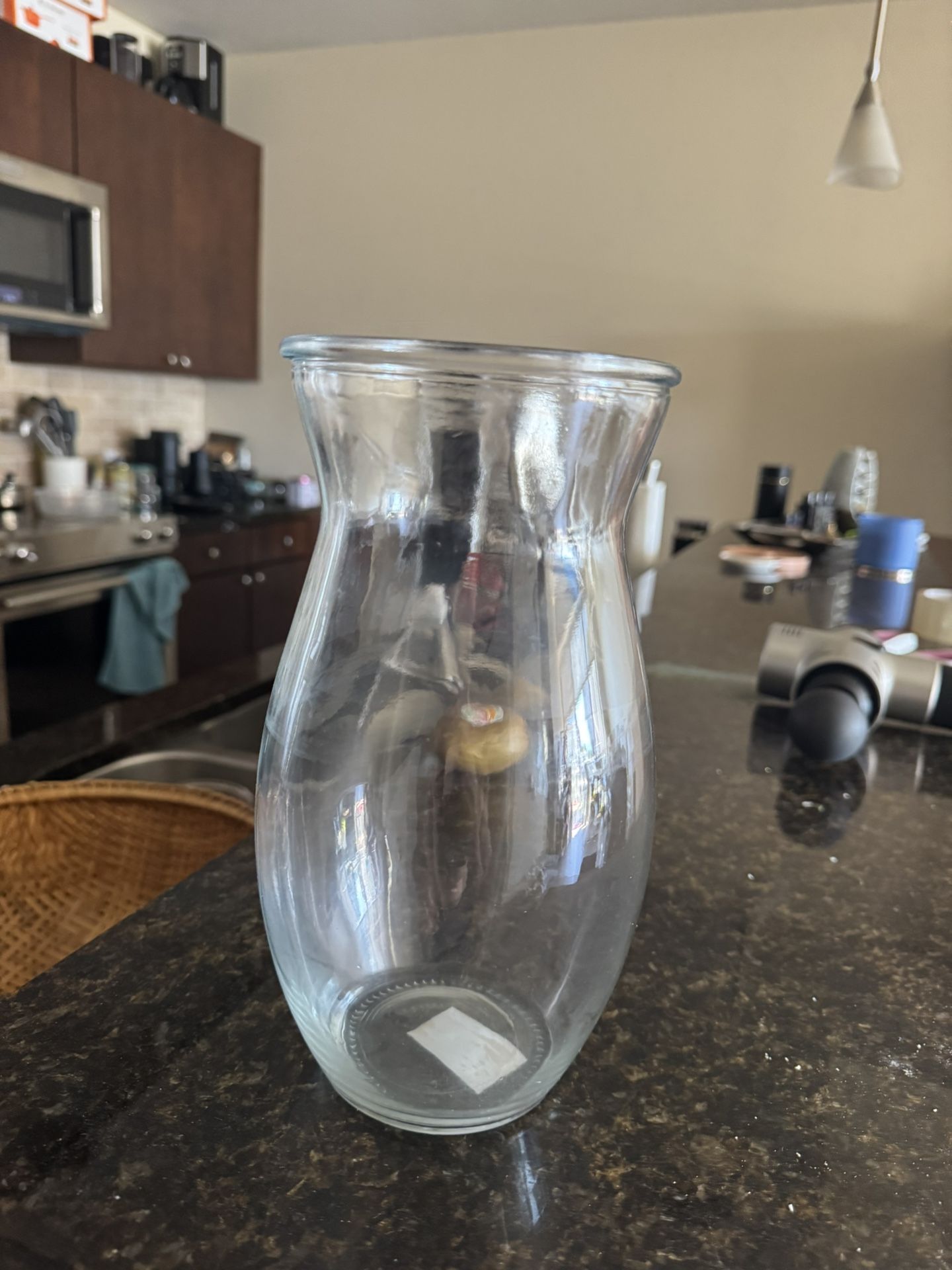 Clear Glass Flower Vase 🌸