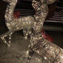 Light Up Rain deer’s 