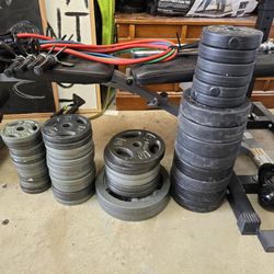 Weights/Exercise Equipment 