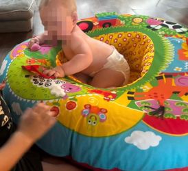 Infant Farm Activity Play Center