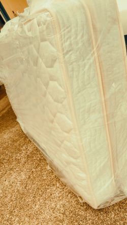 **FREE Pair of twin size mattresses FREE**