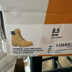 Men Size 8 1/2 Timberland boots 