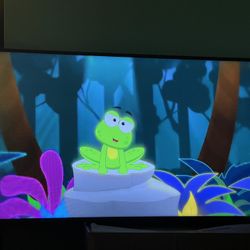 Visio TV 48in Smart TV