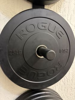 Rogue Bumper Plates - Set of 4 - 15lbs