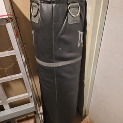 Everlast Punching Bag 
