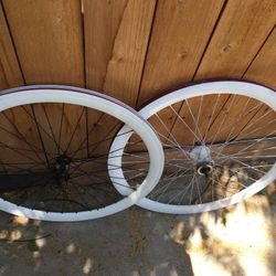 Bike Wheels 700 Fixie