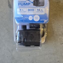 Fountain pump