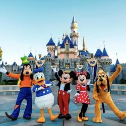 Disneyland or Disney California adventure 