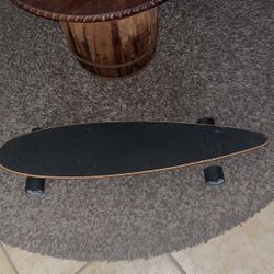 Large Skate Board 
