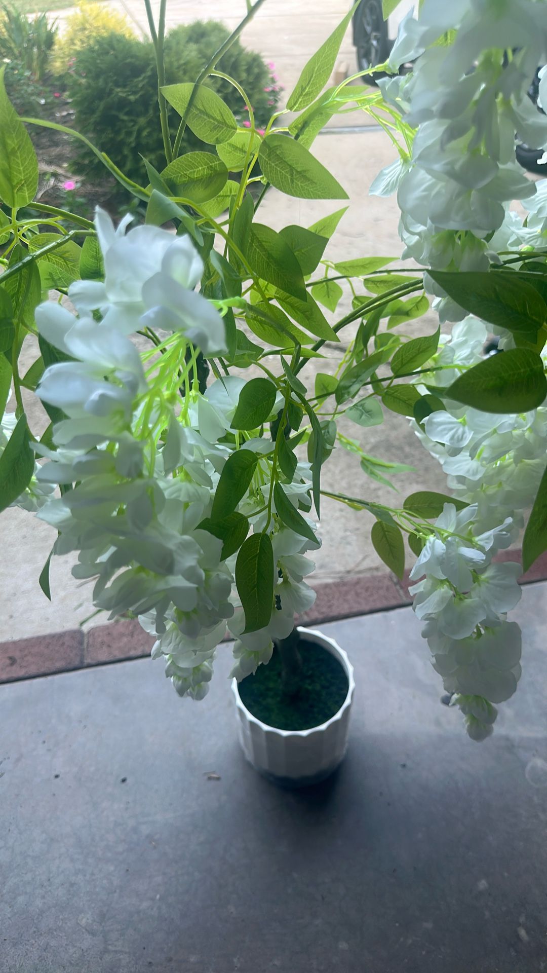 Flowers With White Pot
