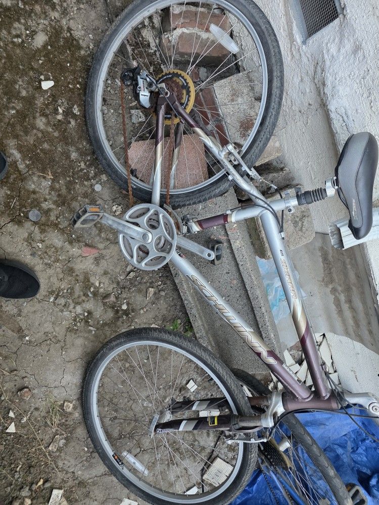 Schwinn Bike