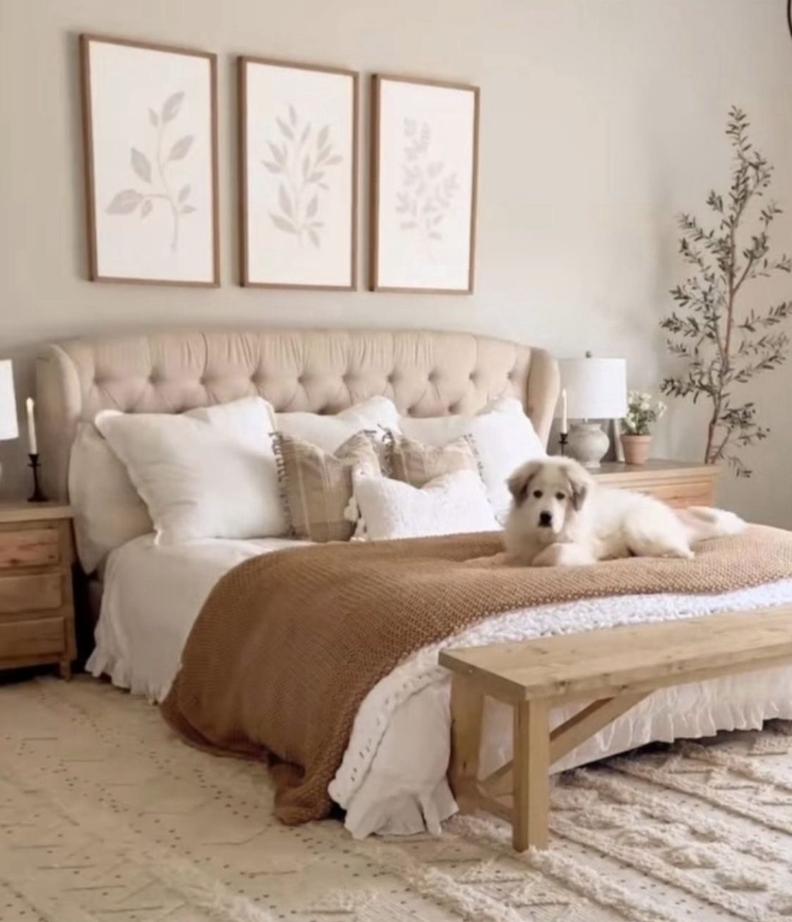 Beige Queen Size Bed With Tufted Headboard