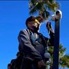 CCTV SECURITY 