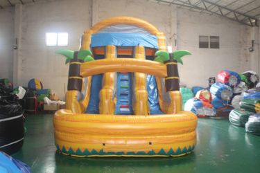 Water Slide Doble Slide , Jumper De Agua 