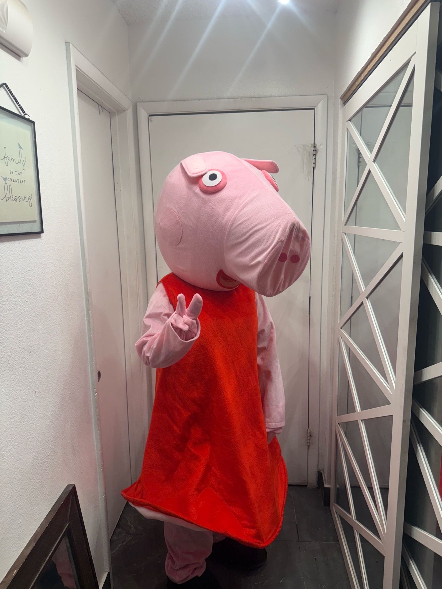 Peppa pig costume