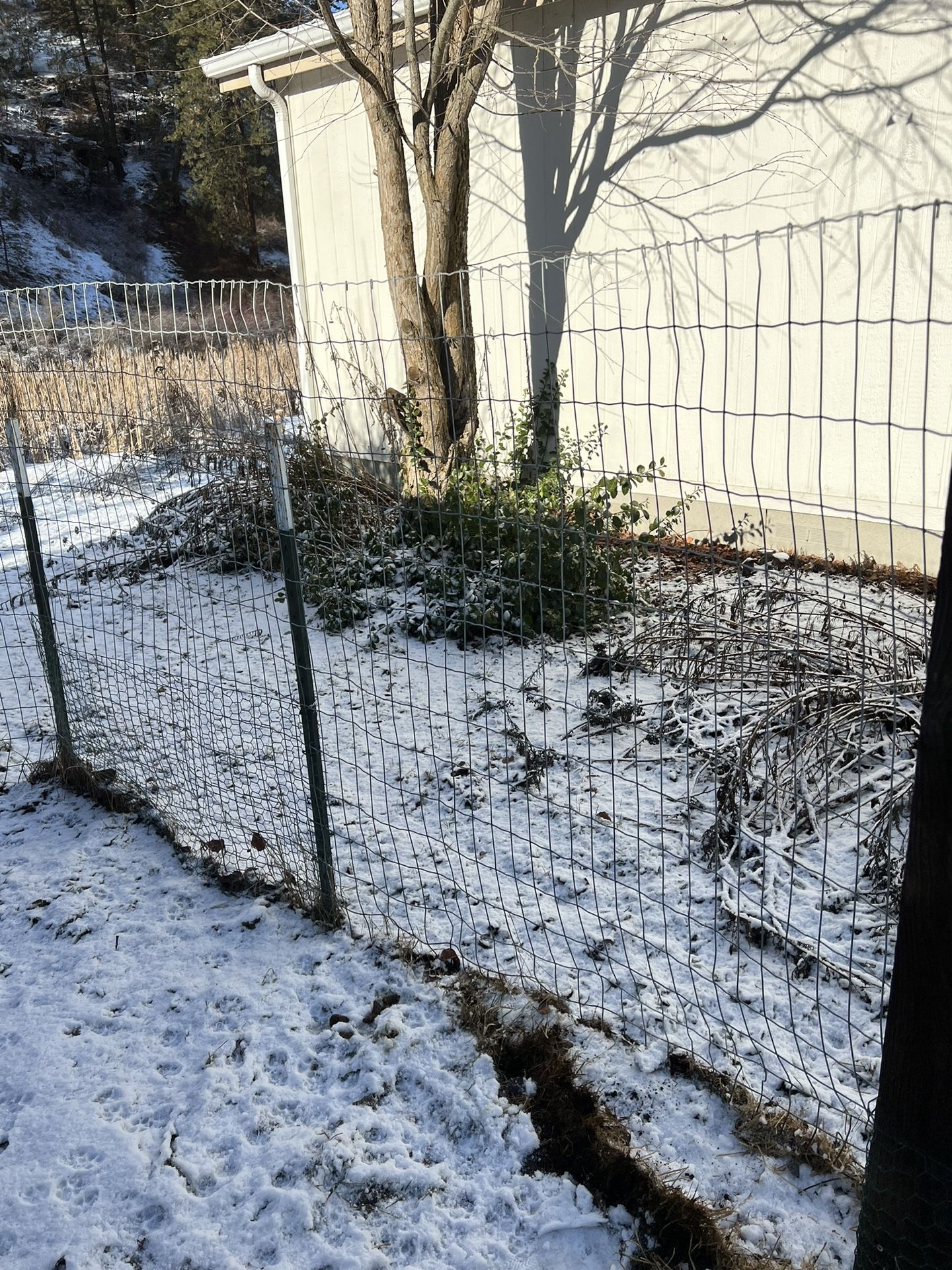 20 Feet Of Fencing With Posts And Hooks 