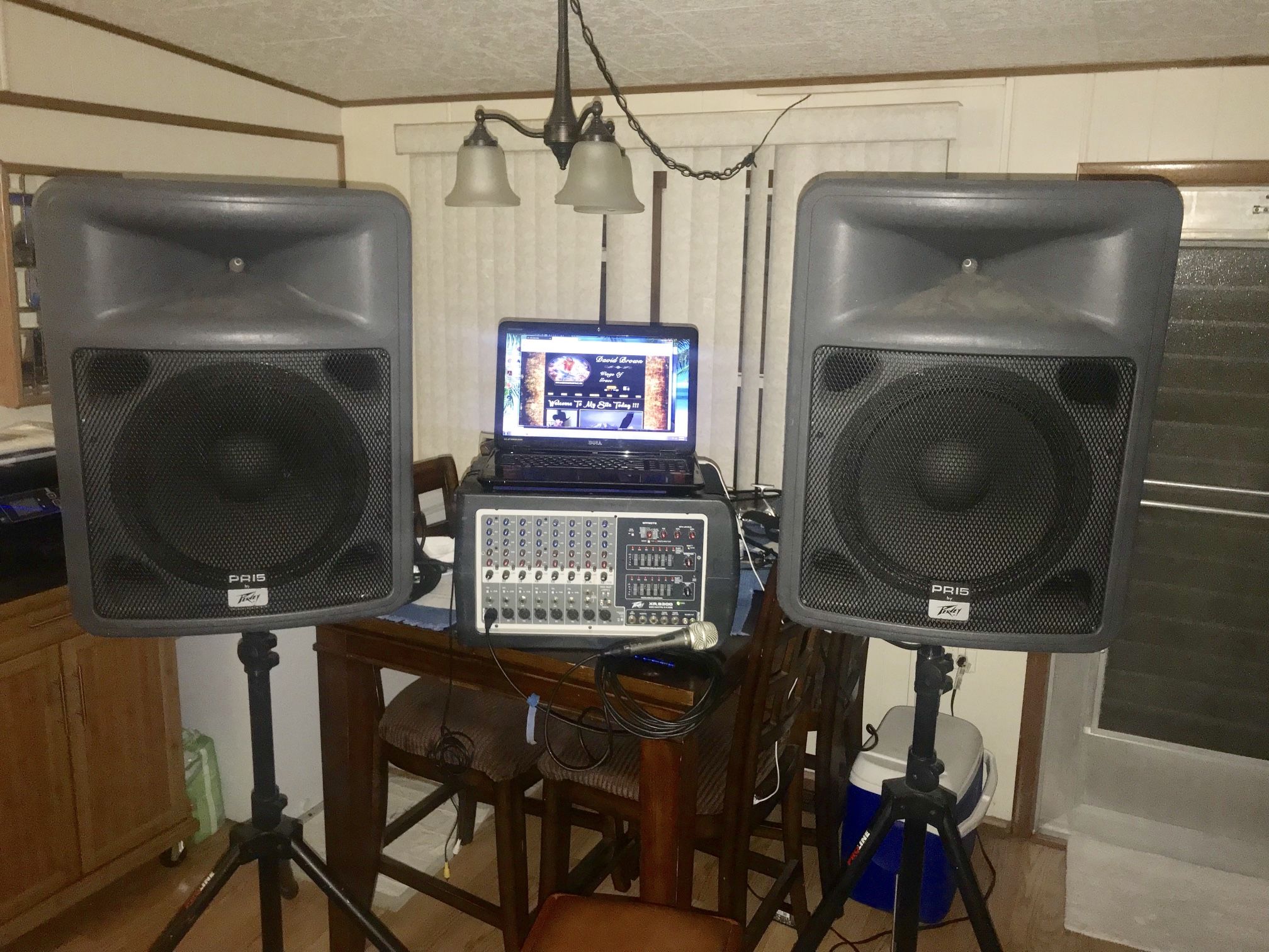 Peavy Mixer And PR 15 Speakers