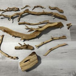 Aquarium Wood Ghost Spider New Medium Small 