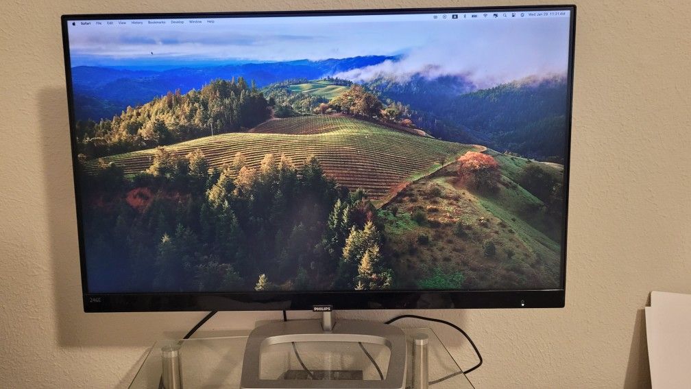 Phillips 32" monitor