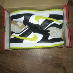 Nike dunks low retro