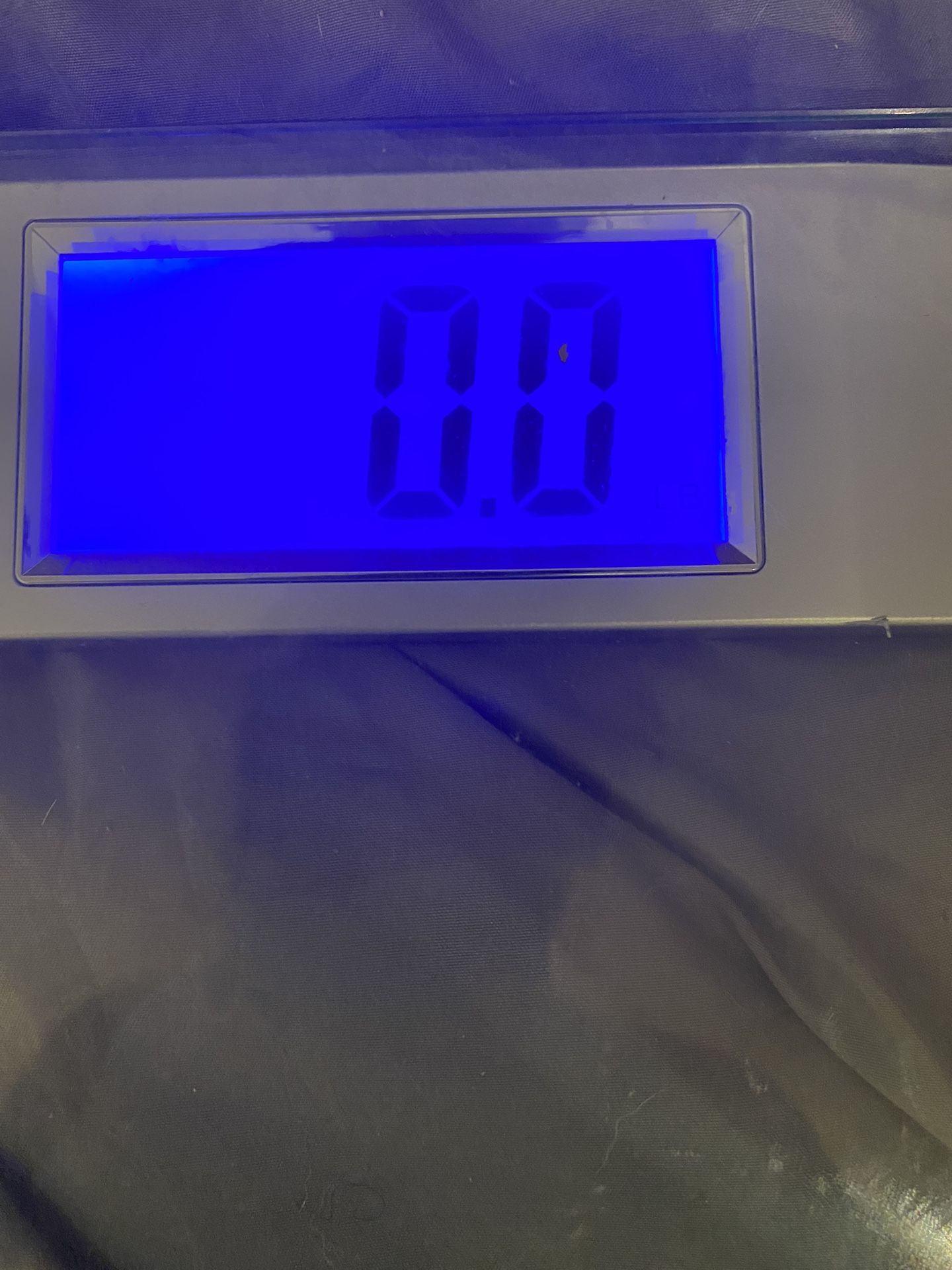Weight Watcher Glass Body Scale