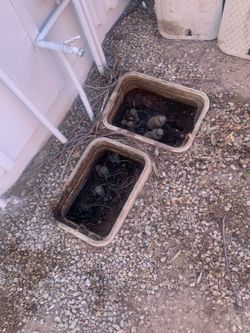 Sprinklers/irrigation 