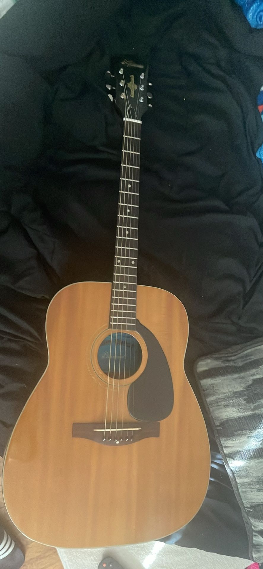 New Professional Acoustic Guitar